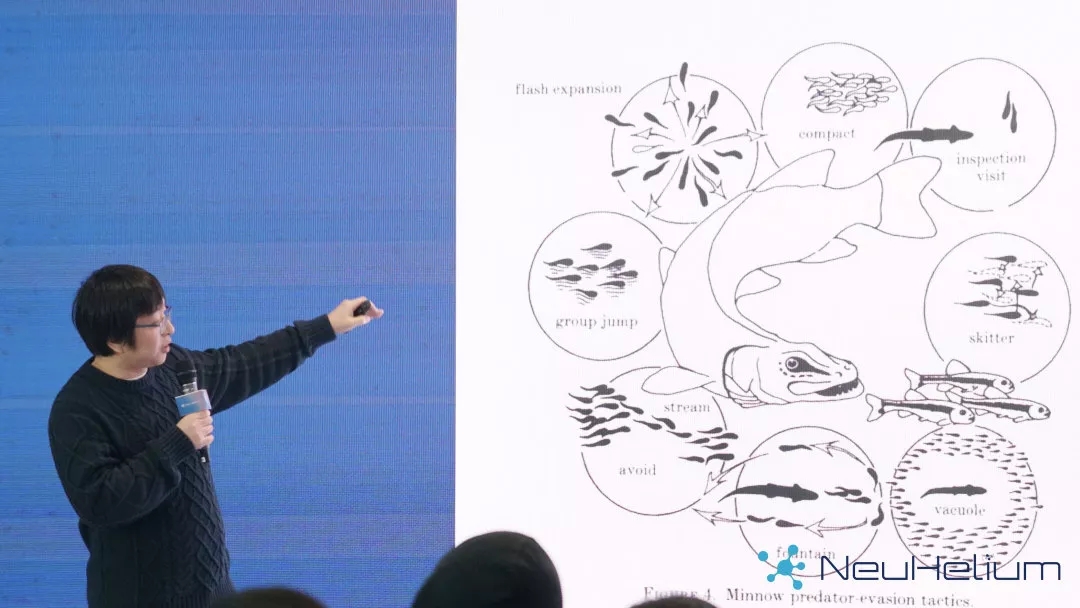 6661.webp.jpg 6661.webp.jpg