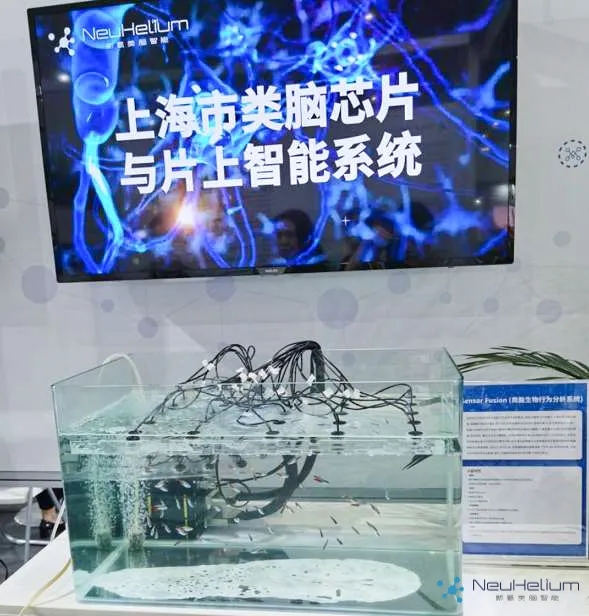 640 (3).webp (1).jpg 640 (3).webp (1).jpg